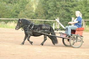 junibackensricky_3463.jpg