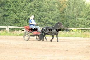 junibackensricky_3465.jpg