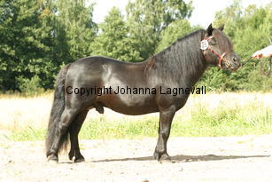 linnestoftadarthvader_3542.jpg