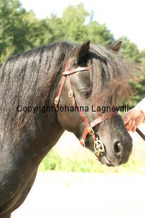 linnestoftadarthvader_3544.jpg