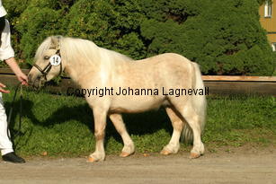 sandbackascesar_3474.jpg