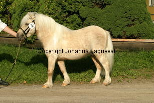 sandbackascesar_3476.jpg