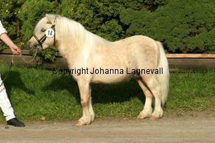 sandbackascesar_3479.jpg