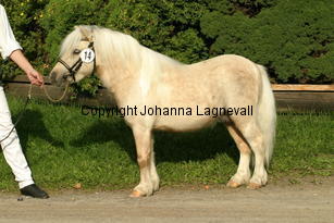 sandbackascesar_3480.jpg