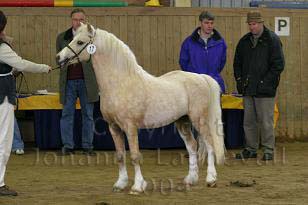 himlabackensblond1w.jpg