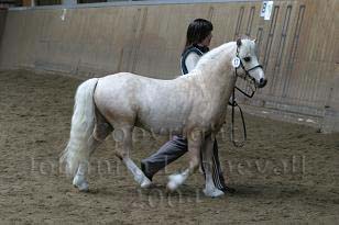 himlabackensblond2w.jpg
