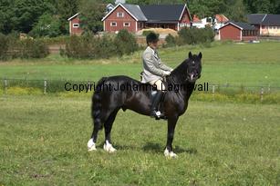 burhultsblackcommence_7796.jpg