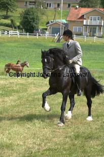 burhultsblackcommence_7831.jpg