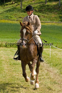 derwenmrt_7836-2.jpg