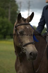burhultsfantasie_7880.jpg