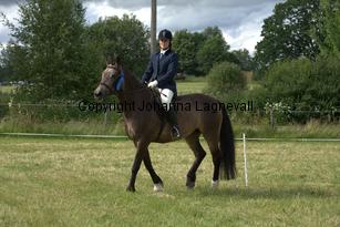 burhultsfantasie_7977.jpg