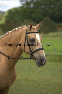 burhultsfantomen_7864.jpg
