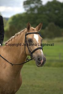 burhultsfantomen_7865.jpg