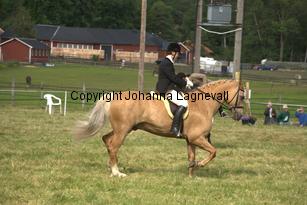 burhultsfantomen_8013.jpg