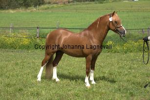 vardrasantos_7709.jpg