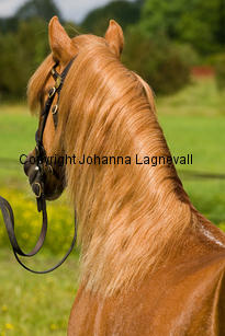 vardrasantos_7714-2.jpg