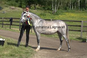 casnewyddanne_7797.jpg