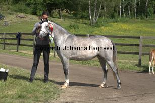 casnewyddanne_7798.jpg