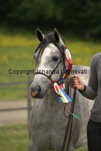 casnewyddanne_7902.jpg