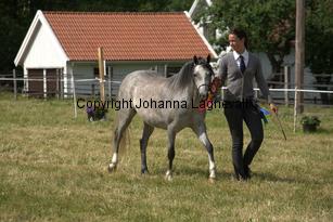 casnewyddanne_7927.jpg