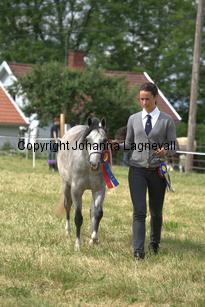 casnewyddanne_7938.jpg