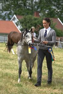 casnewyddanne_7939.jpg