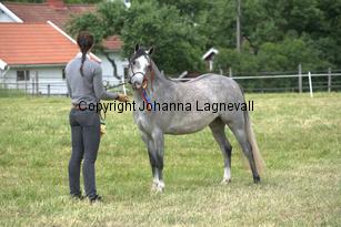 casnewyddanne_7945.jpg