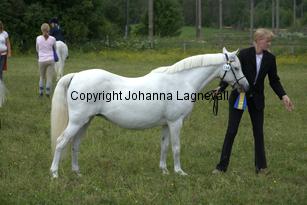 eyarthzoe_7694.jpg