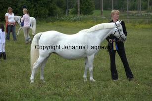eyarthzoe_7695.jpg
