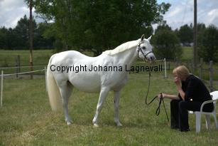 eyarthzoe_7839.jpg
