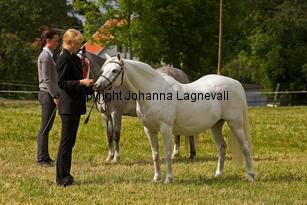 eyarthzoe_7948-2.jpg