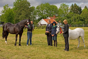 eyarthzoe_7956-2.jpg