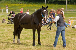 burhultsblackseren_7781-2.jpg