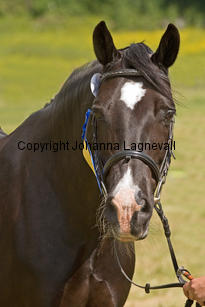 burhultsblackseren_7784-2.jpg