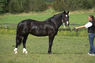 burhultsblackseren_7791.jpg