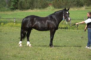 burhultsblackseren_7792.jpg