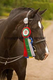 burhultsblackseren_7890-2.jpg