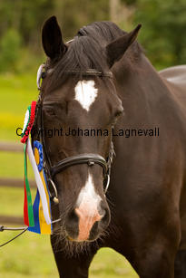 burhultsblackseren_7892-2.jpg