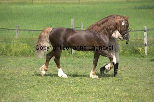derwenmrt_7739.jpg