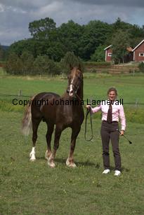 derwenmrt_7744.jpg