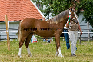 enmarkensmisspophet_7755-2.jpg
