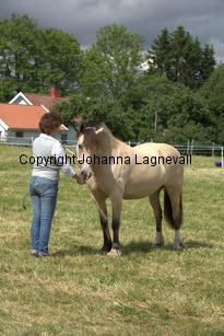 gwyneth_7780.jpg