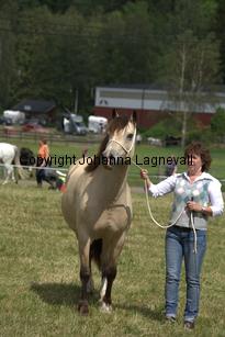 gwyneth_7783.jpg