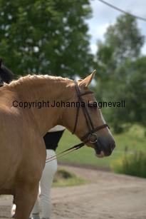 img_7794.jpg
