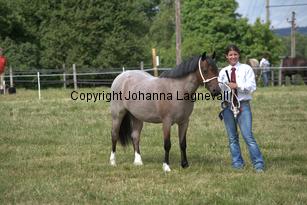 img_7827.jpg