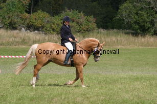 carina_burhultsfoxtrott_2166.jpg