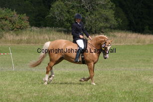 carina_burhultsfoxtrott_2167.jpg