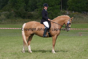 carina_burhultsfoxtrott_2173.jpg