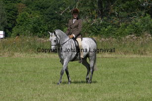 jennifer_hjockhjoing_2079.jpg