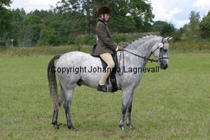 jennifer_hjockhjoing_2150.jpg
